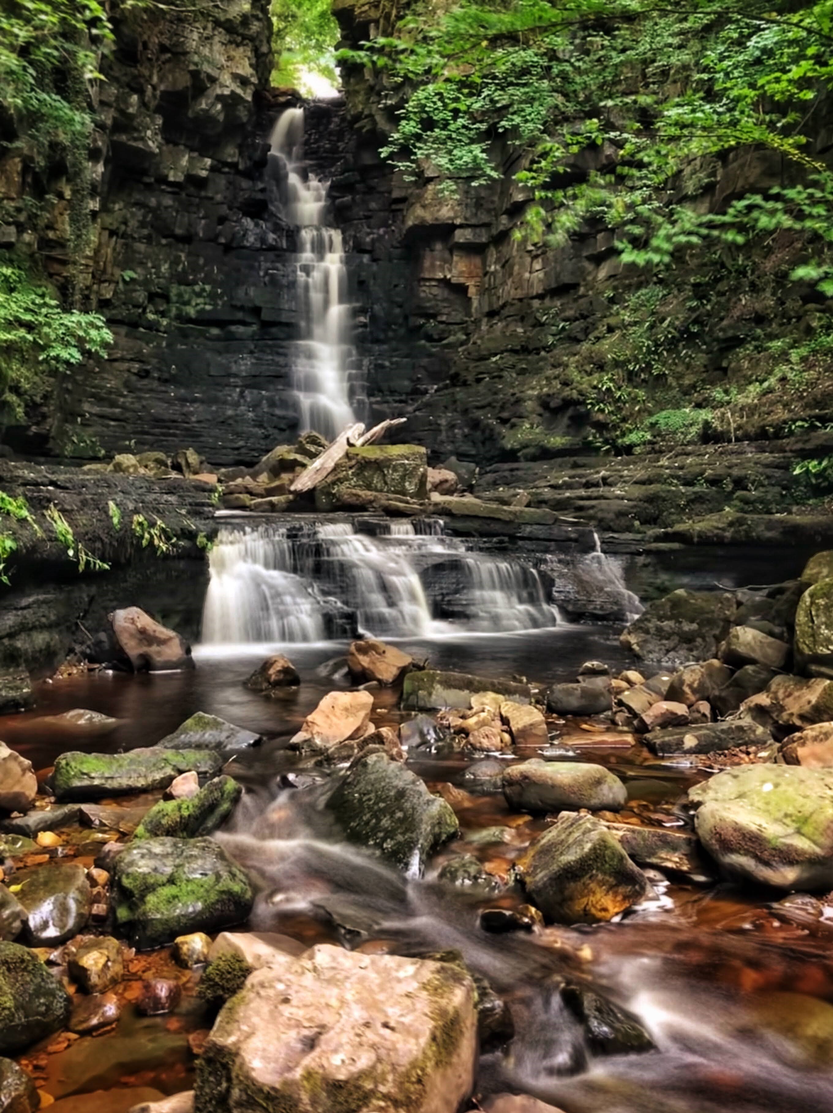 Mill Gill Force